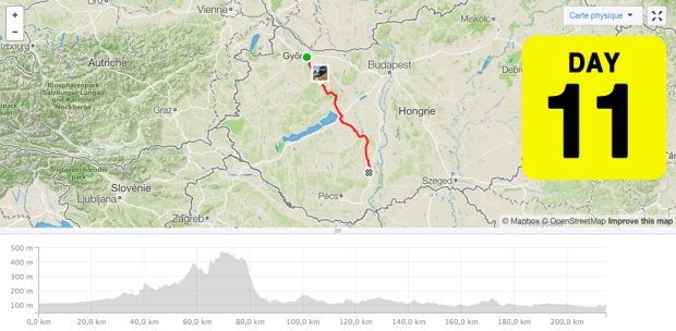 TCRno6 Map Day 11