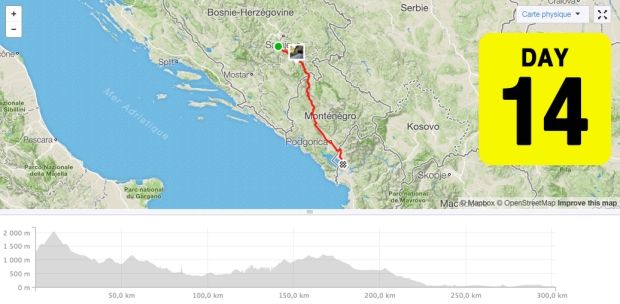 TCRno6 Map Day 14